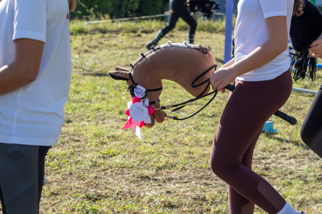 Hobby horsing - dopoledne u koní