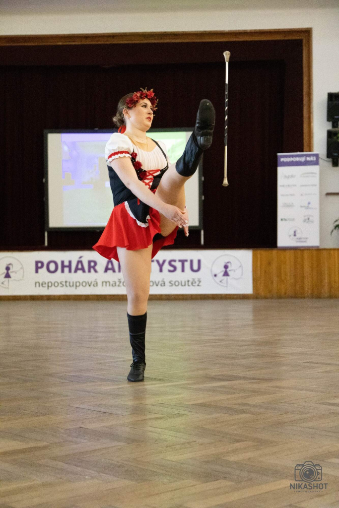 Ameytst Týnka 2.jpg