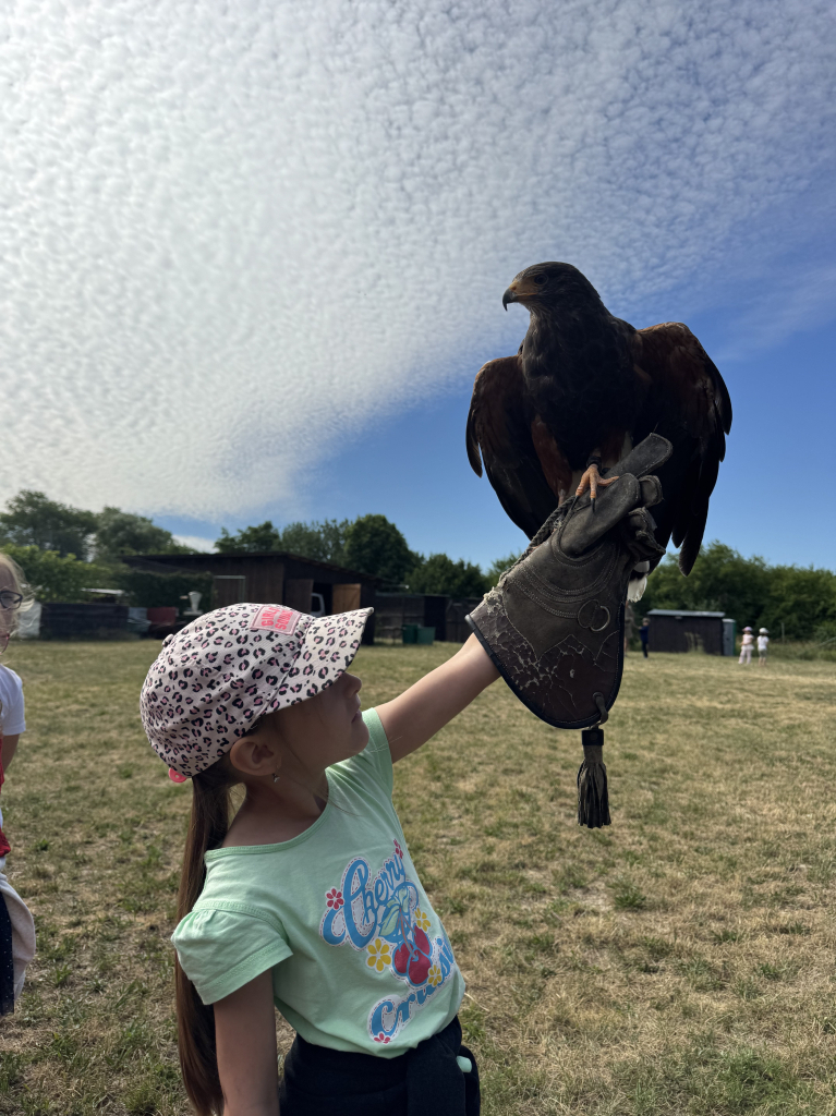 IMG_4884.jpeg