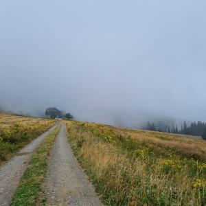 20220820_103735.jpg