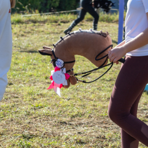 Hobby horsing - dopoledne u koní