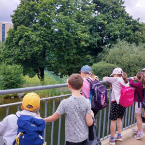 20250707_103131.jpg