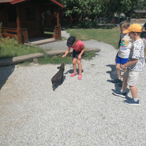 IMG_20250704_112035.jpg