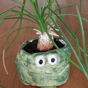 Keramický květináč s Álou